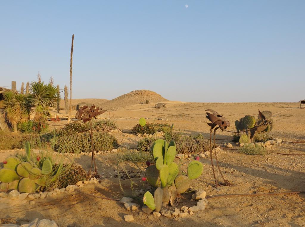 Succah In The Desert Mitzpe Ramon Exteriör bild