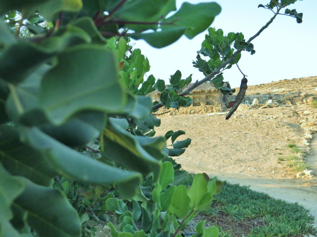 Succah In The Desert Mitzpe Ramon Exteriör bild