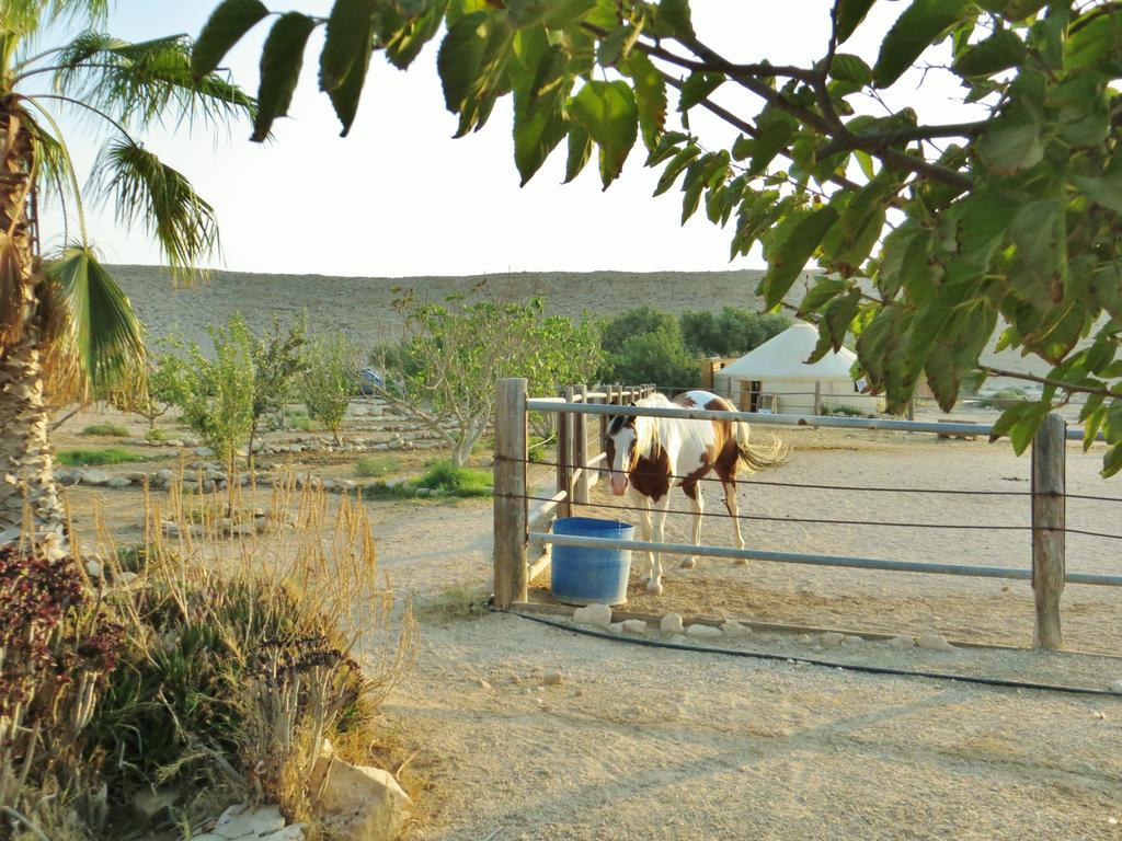 Succah In The Desert Mitzpe Ramon Exteriör bild