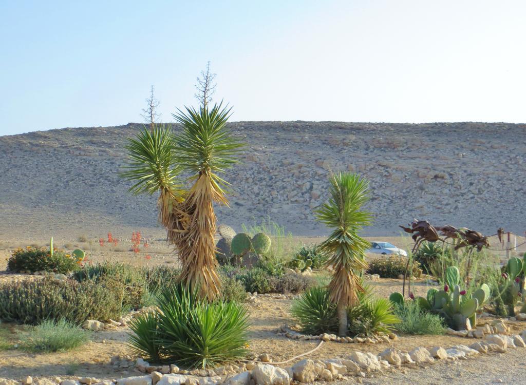 Succah In The Desert Mitzpe Ramon Exteriör bild