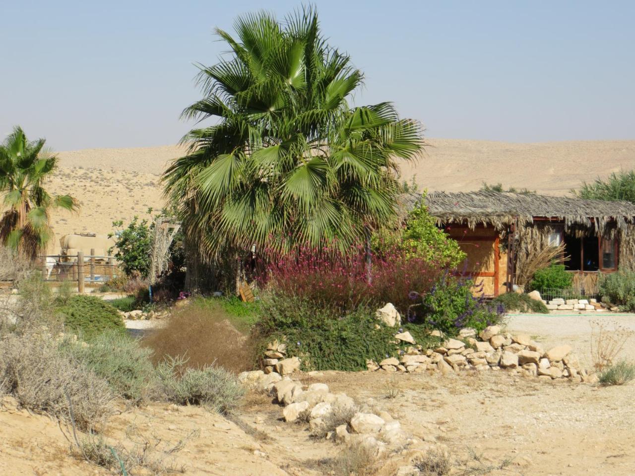 Succah In The Desert Mitzpe Ramon Exteriör bild