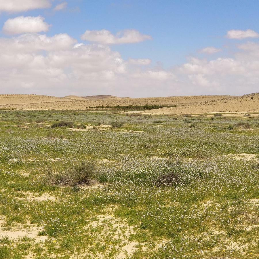 Succah In The Desert Mitzpe Ramon Exteriör bild